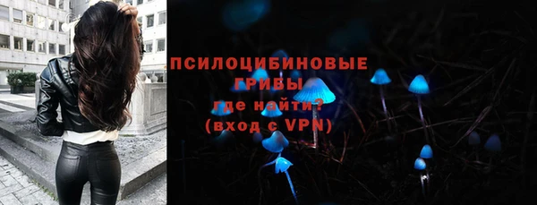 дживик Медвежьегорск
