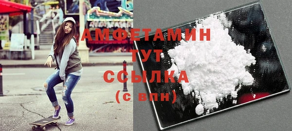 шишки Михайловск