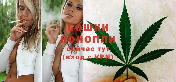 стафф Тосно