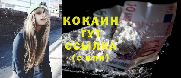 прущий лед Михайлов