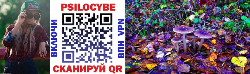 Галлюциногенные грибы Psilocybe Ступино