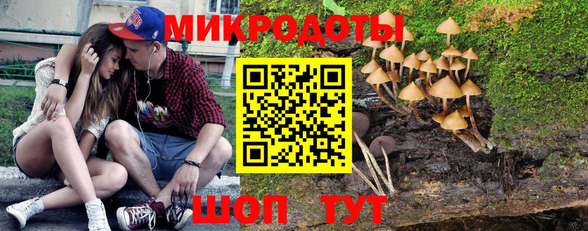 Псилоцибиновые грибы прущие грибы Ступино