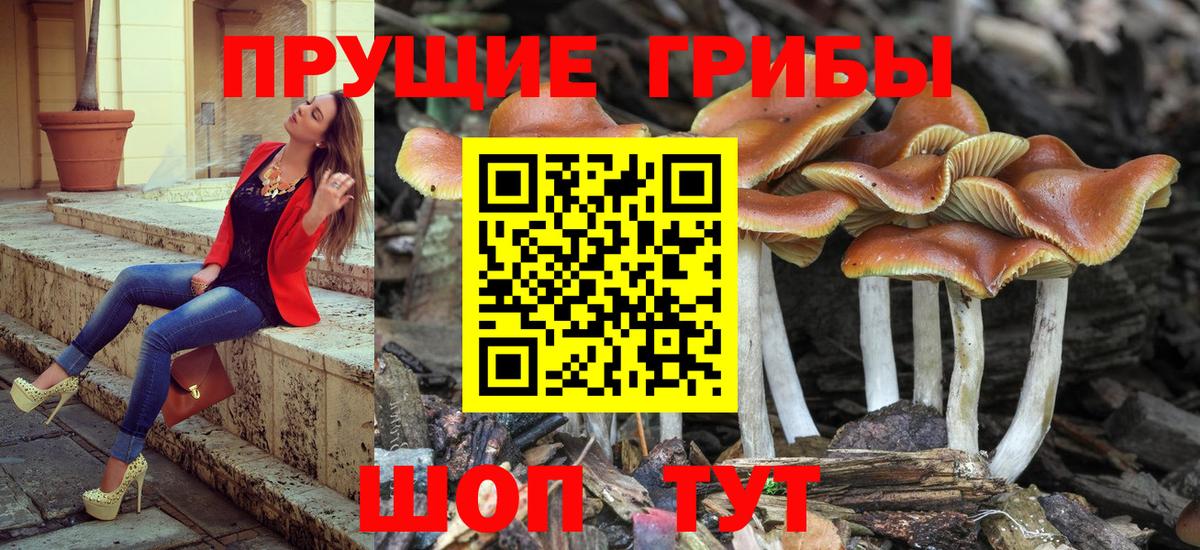 Галлюциногенные грибы Cubensis  Ступино 