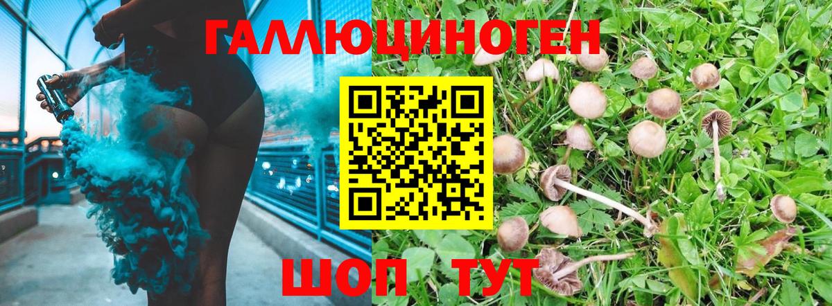 наркошоп  Псилоцибиновые грибы прущие грибы  Вход с VPN  Галлюциногенные грибы прущие грибы  Ступино 